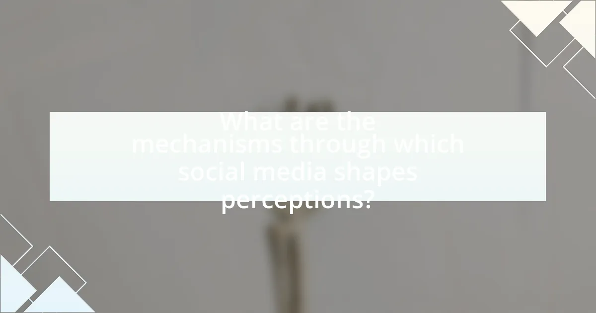 What are the mechanisms through which social media shapes perceptions?