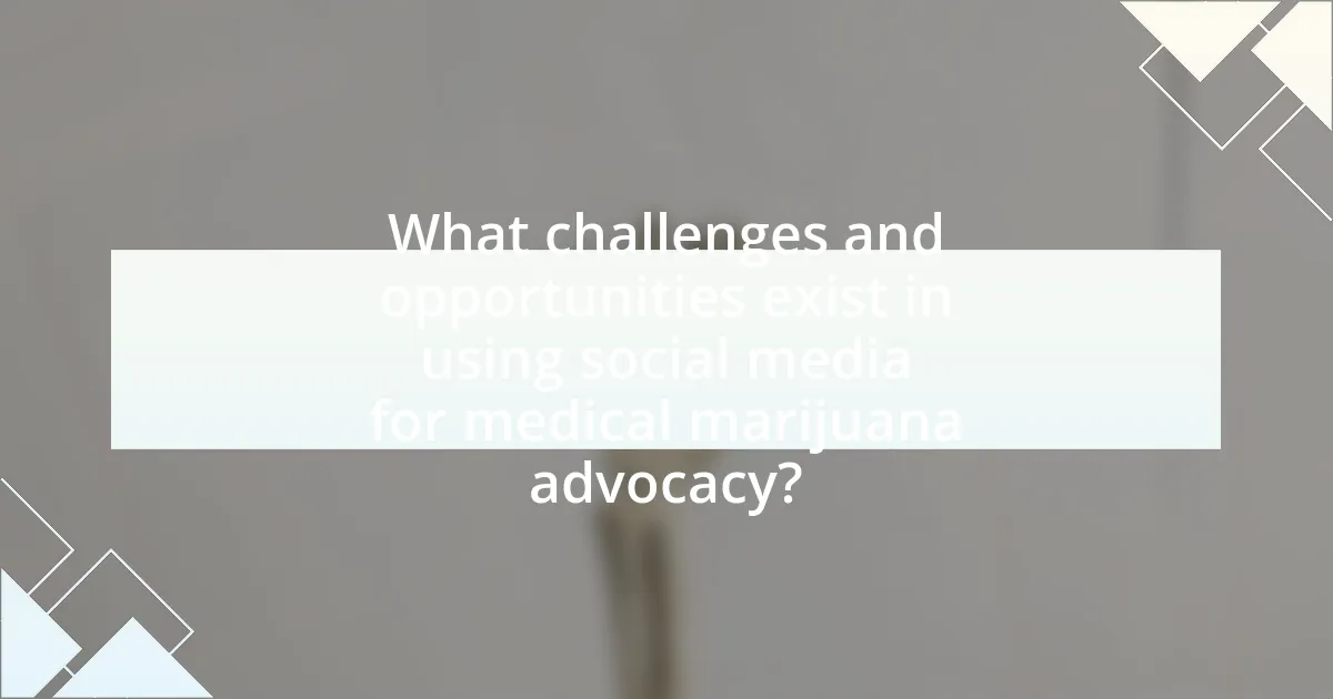 What challenges and opportunities exist in using social media for medical marijuana advocacy?
